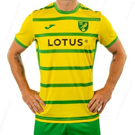 Norwich City Home Soccer Shirt 23/24