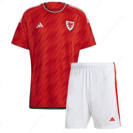 Wales Home Kids Football Kit 2022